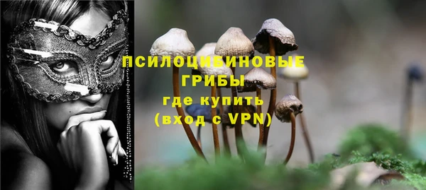 ECSTASY Липки