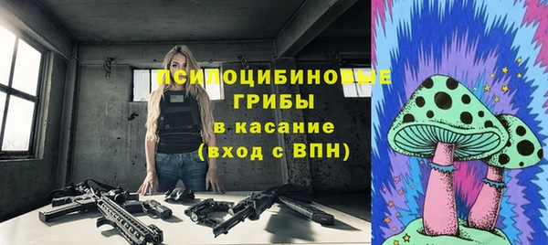 скорость Лагань