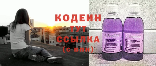 скорость Лагань