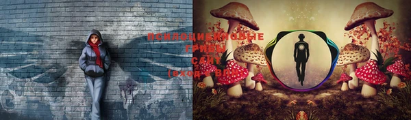 скорость Лагань