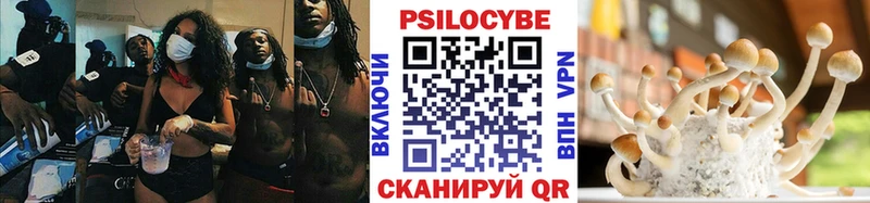Галлюциногенные грибы мицелий  Купить где  Уварово 